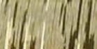 hair blingstrand