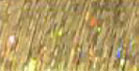 hair blingstrand